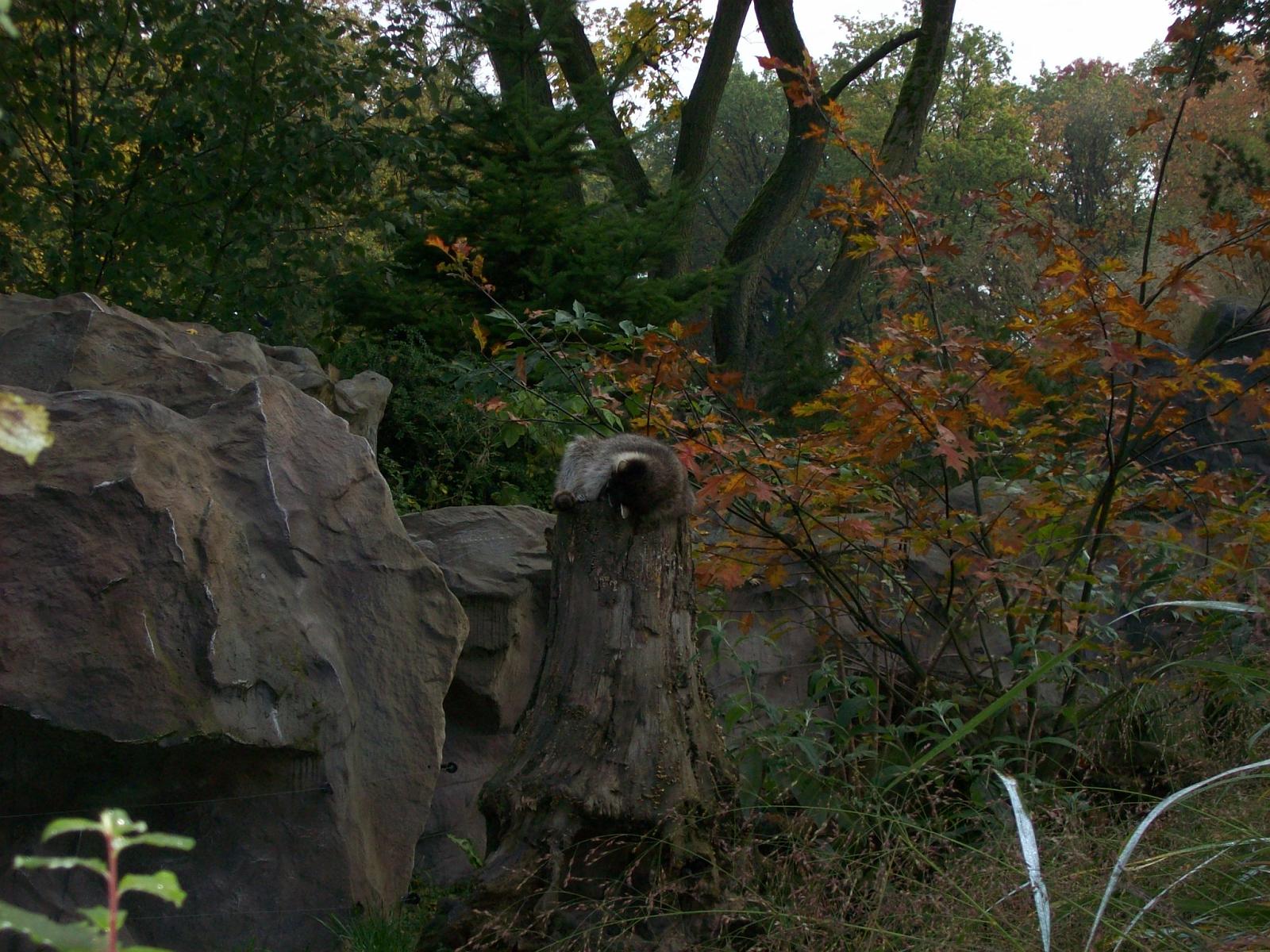 Zoom 18.10.2008-009.jpg